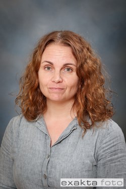 Julia-Langwagen