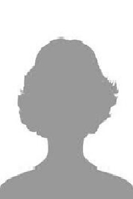 a1